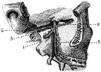 HPN134AC.JPG