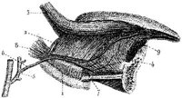 HPN134AB.JPG
