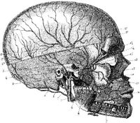 HPN134AA.JPG