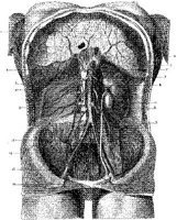 HPN133AC.JPG