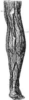 HPN133AB.JPG