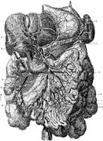 HPN133AA.JPG