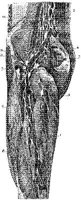HPN132AN.JPG