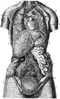 HPN132AL.JPG