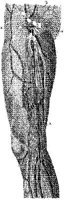 HPN132AE.JPG