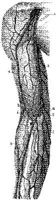 HPN132AB.JPG