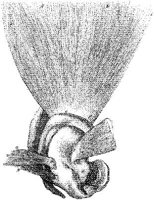 HPN131BQ.JPG