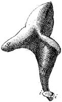 HPN131BO.JPG