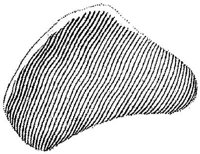 HPN131BL.JPG
