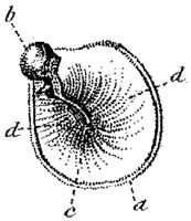 HPN131BG.JPG