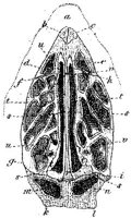 HPN131BC.JPG