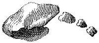 HPN131AQ.JPG