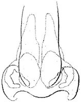 HPN131AP.JPG