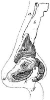 HPN131AN.JPG