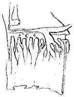 HPN131AL.JPG