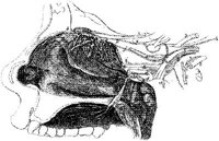 HPN131AJ.JPG