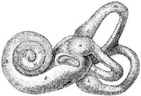HPN131AB.JPG
