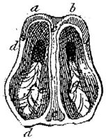 HPN131AA.JPG