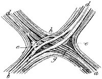 HPN130BL.JPG