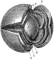 HPN130AT.JPG