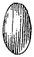 HPN130AN.JPG