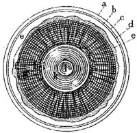 HPN130AB.JPG