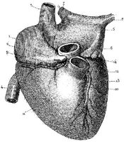 HPN129AR.JPG