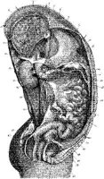 HPN129AN.JPG
