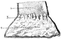 HPN129AK.JPG
