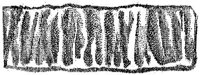 HPN129AG.JPG