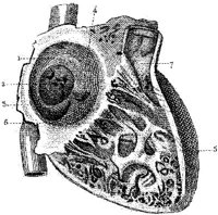 HPN129AE.JPG