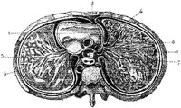 HPN129AB.JPG