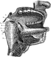 HPN128BJ.JPG