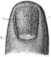HPN128BG.JPG