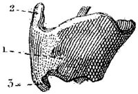 HPN128BC.JPG