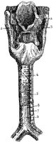 HPN128BB.JPG