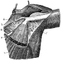 HPN128BA.JPG