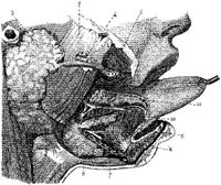 HPN128AZ.JPG
