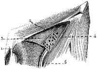 HPN128AT.JPG