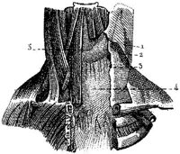 HPN128AQ.JPG