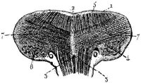 HPN128AO.JPG