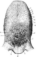 HPN128AL.JPG