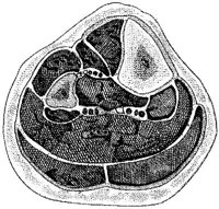 HPN128AJ.JPG
