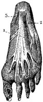 HPN128AB.JPG