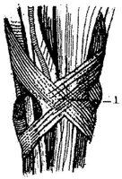 HPN128AA.JPG