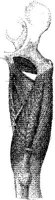 HPN127AS.JPG