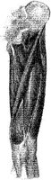 HPN127AR.JPG