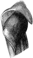 HPN127AQ.JPG