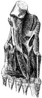 HPN127AL.JPG