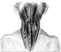 HPN127AK.JPG